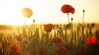 🎶Vdahnovenie🧘Meditation music☀️Peter Deunov🇧🇬Вдъхновение