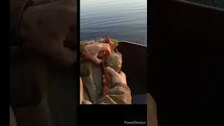 ❗супер❗рыбалка,читер,#рыбалка #fishing #лето #shorts #рекомендации #сети #линь #лещ #тикток #улов