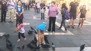 Кормим голубей в Венеции. Италия  Венеция