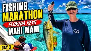 Fishing Marathon Florida Keys Mahi Mahi  Day 3