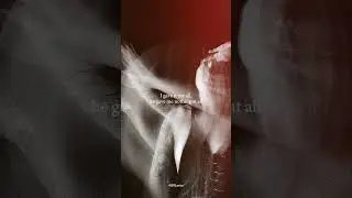 Taylor Swift - it's time to go (Lyrics)