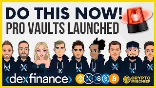 DEX FINANCE: HOW TO MIGRATE OR SET UP YOUR VAULT