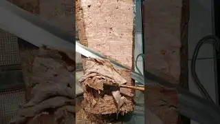Buna Döner Demeyenlerle Arkadaşlığı Kestim #shorts