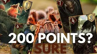 GWENT | PATCH 11.4 | MONSTERS | ARACHAS SWARM - The new reworked cards are AMAZING!!!