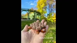 черепашка из желудей