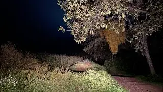 La hacienda de las brujas
