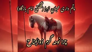 Matamdari Muhiban e Zahra| Imam Bargah Gilgati 29 July| چرا نوحہ گرم ذوالجناح|