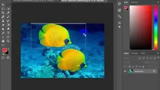 crop a portion of  an image with rectangle marque tool