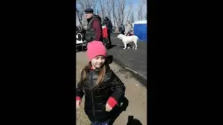 Побывали на выставке собак, пудель и пиренейская горная больше всего нам понравились!!