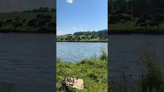 Деревня 2024 :: Ребёнок природы 