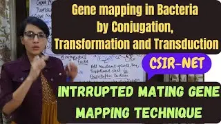 Gene Mapping in Bacteria by Conjugation, Transformation,Transduction || Intrrupted Mating Technique
