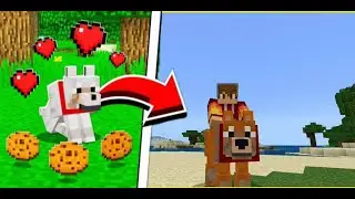 how to UPGRADE WOLVES in Minecraft