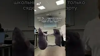 ТЕБЯ С ПОДРУГОЙ СЛИЛИ😂 Залетай в комьюнити 11кл, там ты найдёшь друзей, ссылка в шапке #химия #егэ