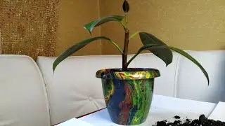 Hydro dipping Flower Pots (aqua print)