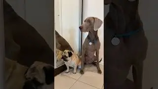 ОСКАР И ДЖОНИ ЧТО-ТО СКРЫВАЮТ ОТ НАС 😳