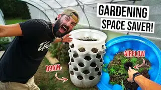 Using Easy DIY Vertical Garden Towers to MAXIMIZE SPACE!