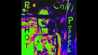 Red Hot Chili Peppers ~ May 4, 2003 ~ Omaha Civic Auditorium ~ Omaha, NE  [AUD #2]