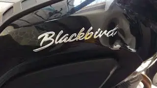 NEVER GET TOUCHED | MY EXPERIENCE WITH MOTORCYCLE ACCIDENTS | WHAT HAPPENED TO THE BLACKBIRD? MIKEMP