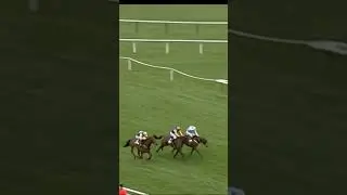 Most dramatic Cheltenham Festival race ever?