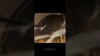 Единственный водитель в мире магии 