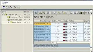 SAP ABAP FI CO SD WE02 Display IDOCS!