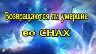 Жизнь после смерти. Видения с Другой стороны - 2/ Люкман А. /(2023)// ЛУНА - ДУША