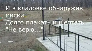Посвящается ушедшему на радугу любимцу