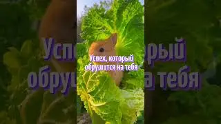 Скорее принимай послание Вселенной для тебя на новый год