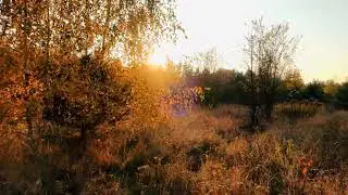 Jesień