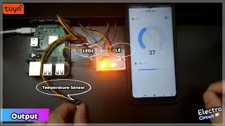 Connect Raspberry Pi to Tuya Cloud using Link SDK | IoT Project | | Tuya |