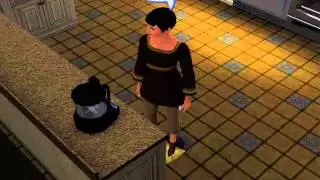 Sims 3 ambitions annoying Glitch!