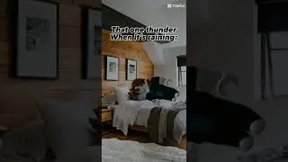The Unnecessary Thunder #shorts #thunder #starloxia #relatable #capcut