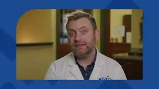Do all ticks transmit Lyme disease?