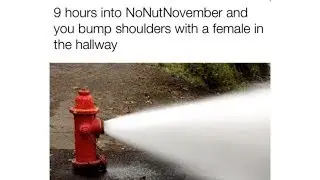 No Nut November Funny Memes