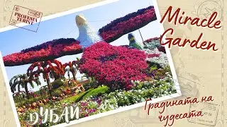 Градината на чудесата в Дубай - Dubai Miracle garden - Професия турист