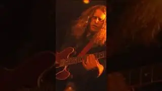 Warren Haynes