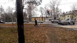 коза