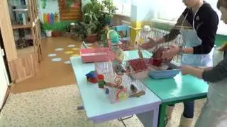 "Юные знатоки природы"