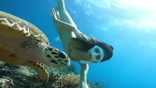 swim with turtle #shorts #swimming #freediving #koreangirl #bikini