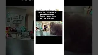 This is so sad 😭