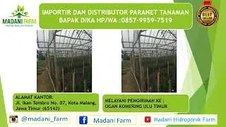 Jual Paranet Di Bekasi, Jual Paranet Di Balikpapan HP/WA.0857-9959-7519(BAPAK DIKA)