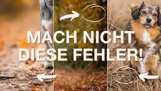 VERMEIDE DIESE 3 FEHLER in der Bildretusche | Photoshop Tipps | Tierfotografie