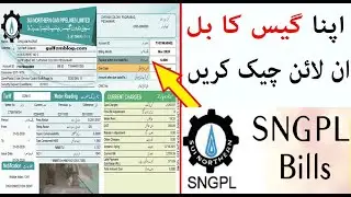 How to get Online SNGPL Duplicate Bill | SSGC duplicate bill | SNGPL online bill payment