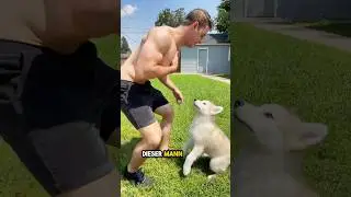 This dog is absolutely devilish! 😳