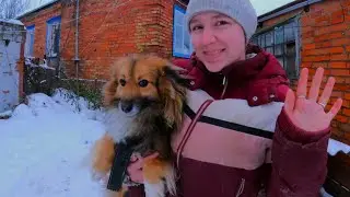 З ТАКИМ ГОСПОДАРСТВОМ ПРО ВІДПОЧИНОК МОЖНА ТІЛЬКИ МРІЯТИ!