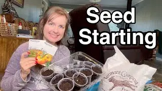 Starting Seeds For My 2024 Garden