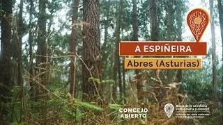 A ESPIÑEIRA. (Abres. Asturias) - Caminos del buen gobierno y la buena vecindad.