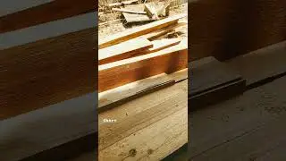 circular saw 
