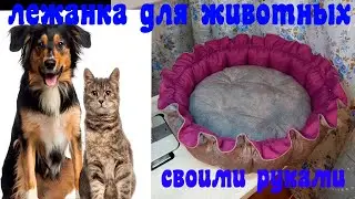 лежанка для животных/ своими руками / переработка остатков
