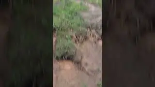 ЛЮБОВЬ К ПРИКЛЮЧЕНИЯМ